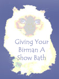 Click HERE to read, "Giving Your Birman A Show Bath."