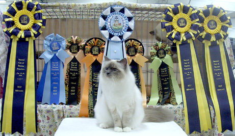 Highest Scoring Birman in Championship, Sacred Cat of Burma Fanciers annual show, 2004-05